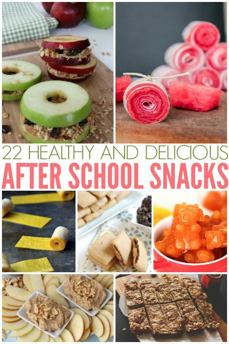Small Healthy Snacks
 22 Health & Delicious After School Snacks Kids Will Love