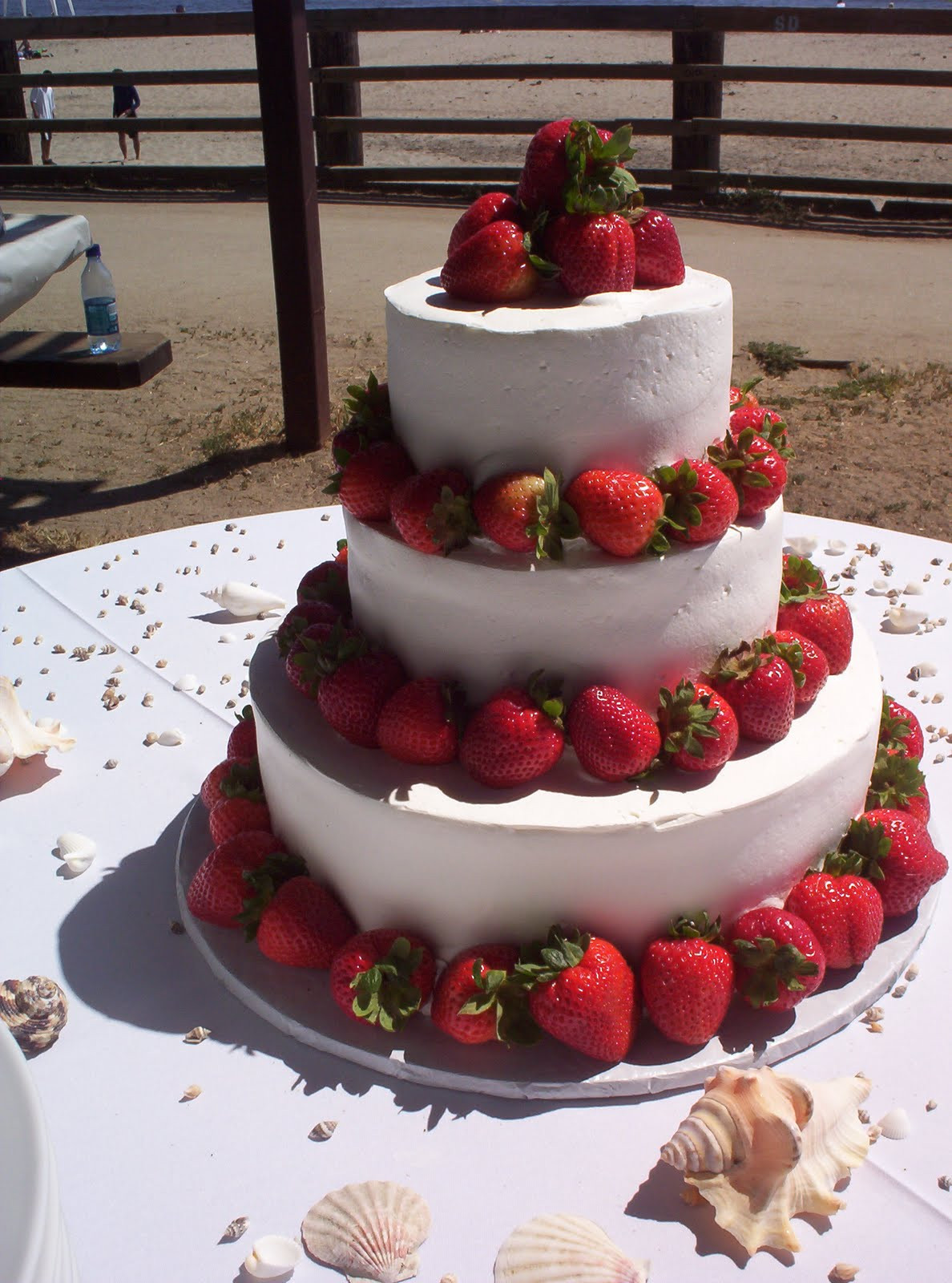 Strawberry Wedding Cake
 Wedding Cakes White Wedding Cakes With Chocolate