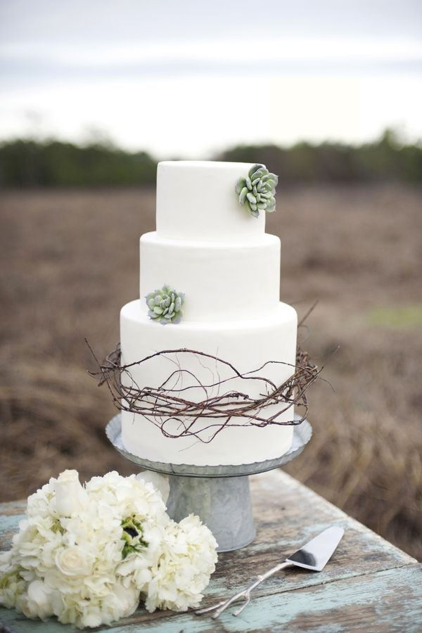 Succulent Wedding Cakes
 Cakes with Succulents Flowers Such a Sweet Idea