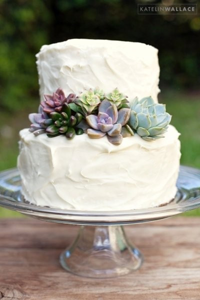 Succulent Wedding Cakes
 Succulent Cuttings for Cake Decorating