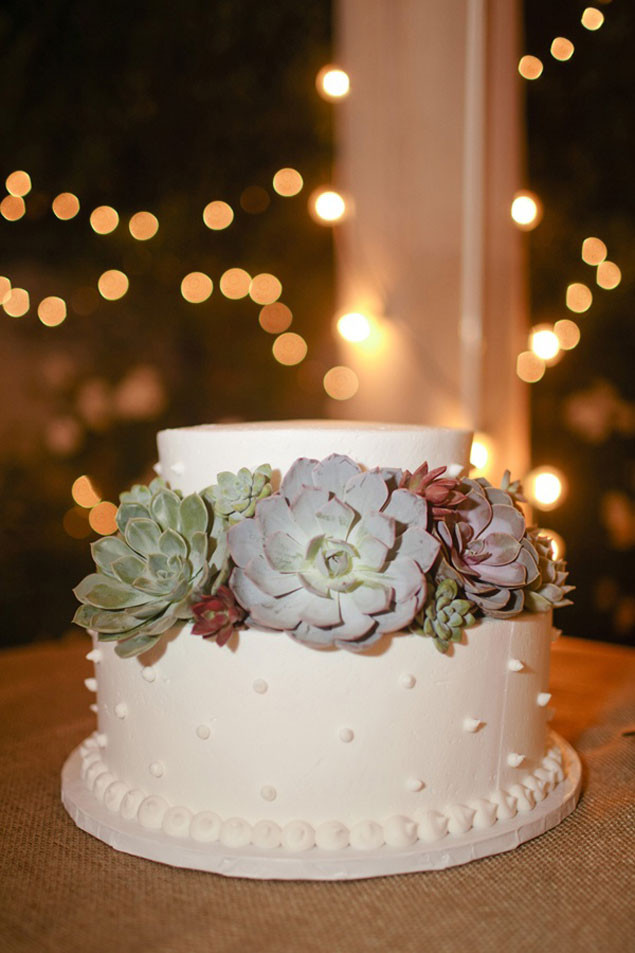 Succulent Wedding Cakes
 Succulent Wedding Cakes