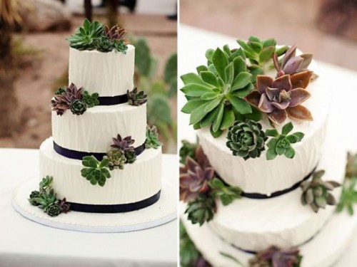 Succulent Wedding Cakes
 Succulent Wedding Cakes A Hot Wedding Trend crazyforus