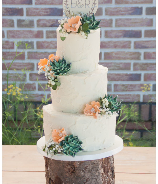 Succulent Wedding Cakes
 Succulent Cakes Too Pretty To Eat CakeCentral