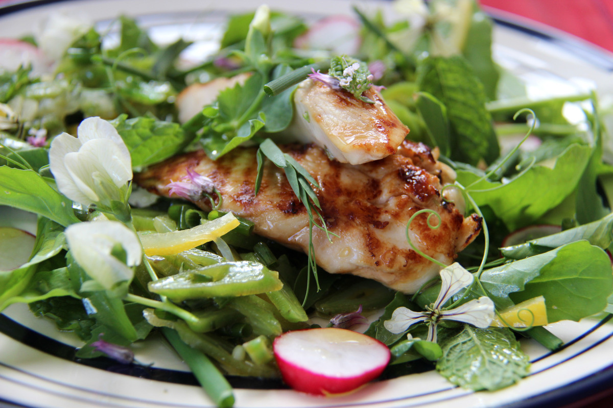Summer Chicken Salad the top 20 Ideas About Summer Chicken Salad with Fistfuls Of Herbs