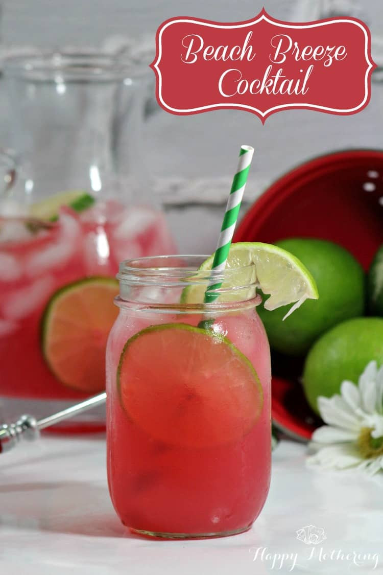 Summer Drinks With Vodka
 Summer Cocktail Recipes Beach Breeze Happy Mothering