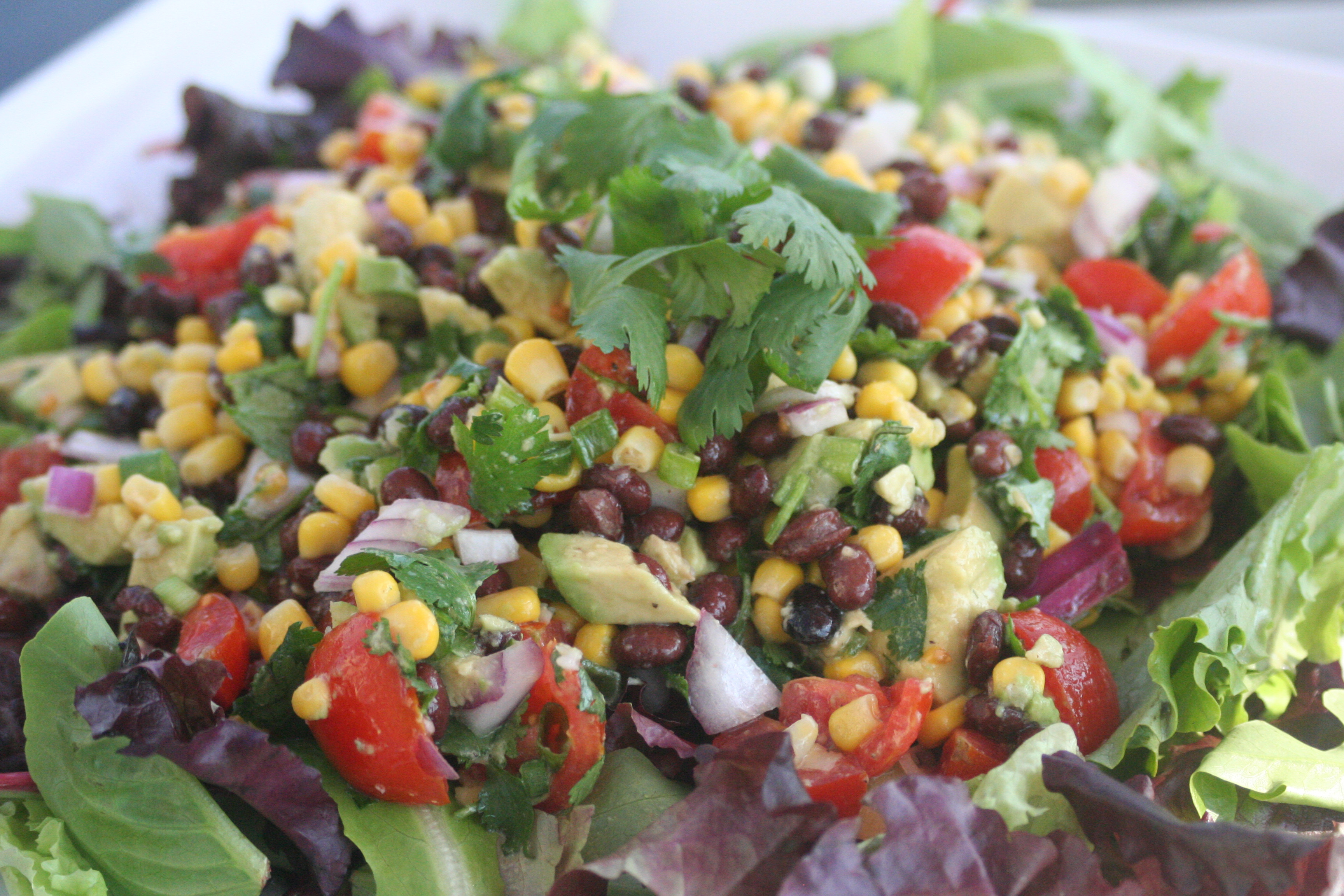 Summer Salad Recipes Vegetarian
 The Cooks Next Door Weekend Fare Ve arian Salad