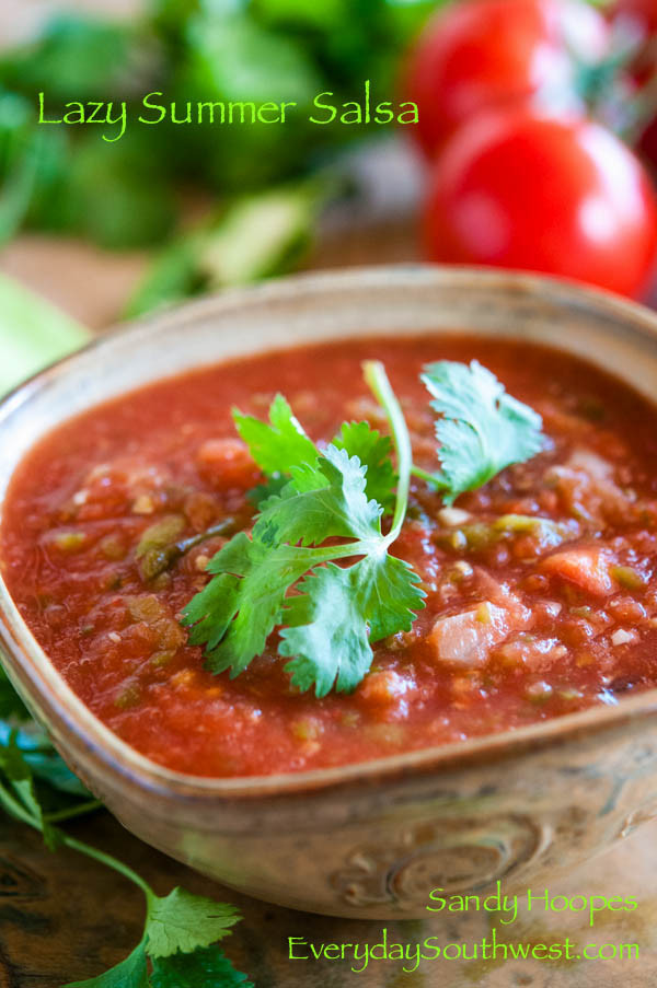 Summer Salsa Recipe
 Healthy and Easy Lazy Summer Salsa Recipe Everyday Southwest