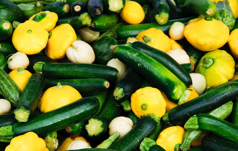 Summer Squash Nutrition 20 Best Zucchini and Summer Squash Nutrition