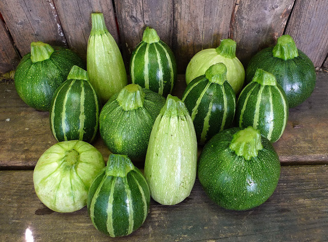 Summer Squash Varieties
 Philly Market Cafe