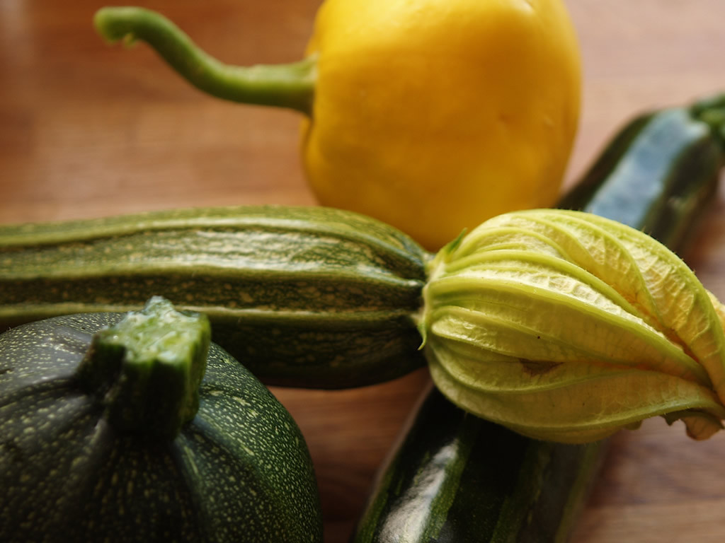 Summer Squash Varieties
 Summer Squashes