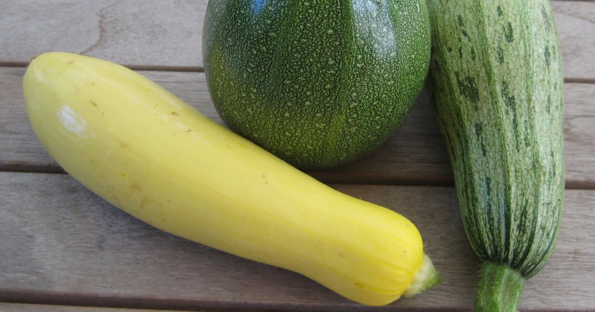 Summer Squash Varieties
 The Delicious Truth How Summer Squash Grow