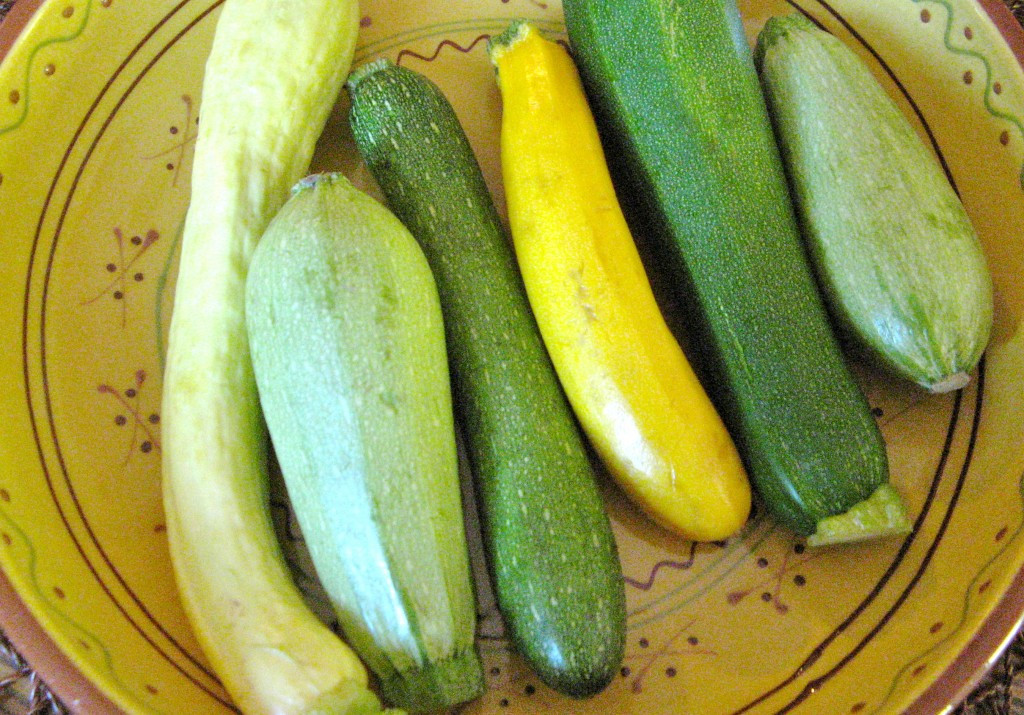 Summer Squash Varieties
 Summer squash varieties