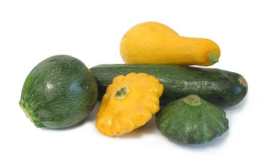 Summer Squash Varieties
 Squash Seed 5 Varieties Heirloom Seed