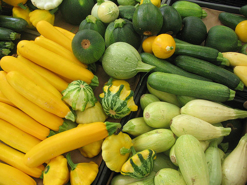 Summer Squash Varieties
 paring the Nutrient Values of Four Summer Squashes