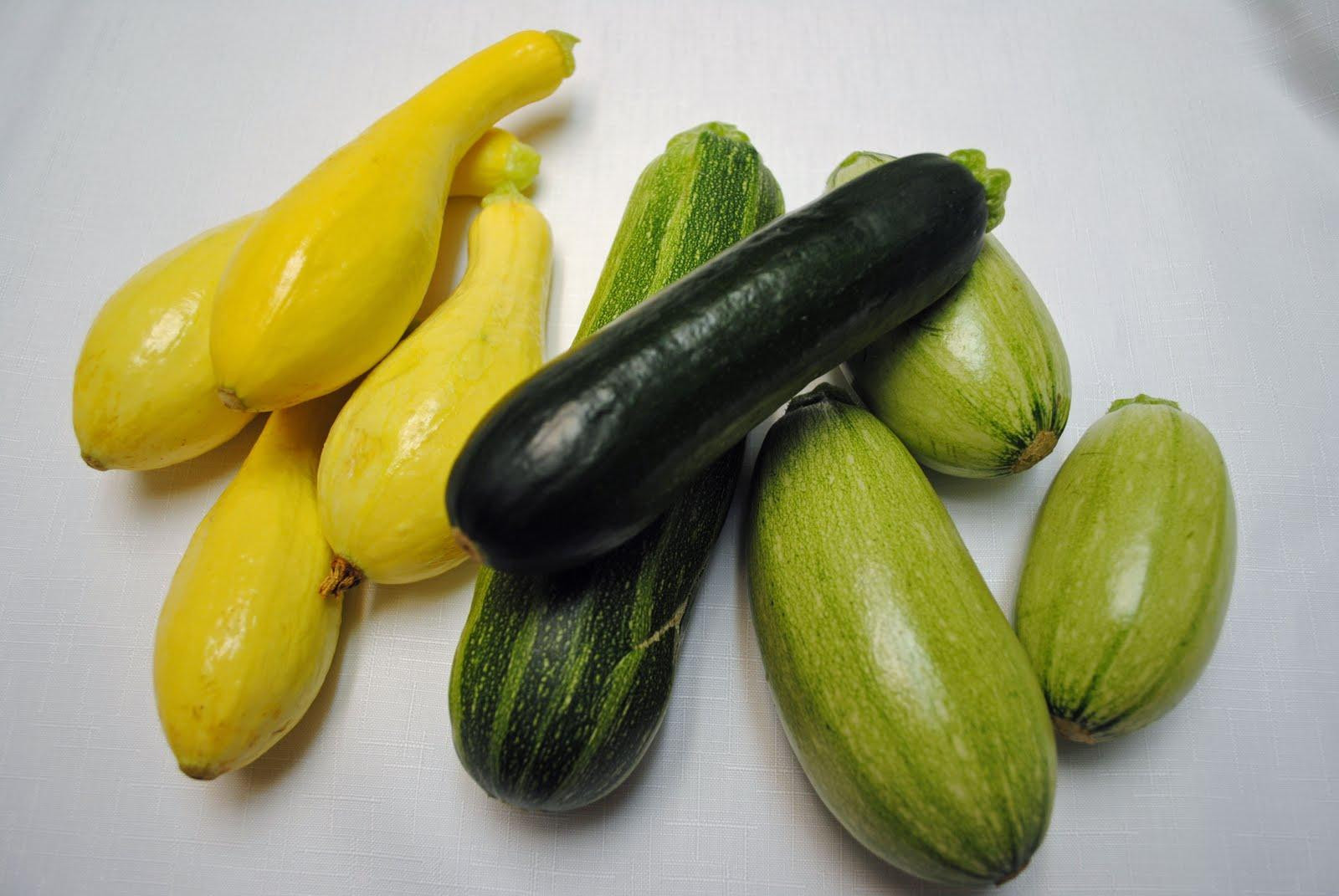 Summer Squash Varieties
 Produce Information Organized by Plant Part