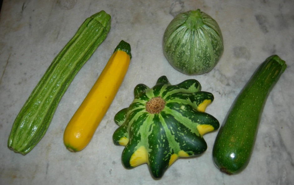 Summer Squash Varieties
 summer picfind3 Bloguez