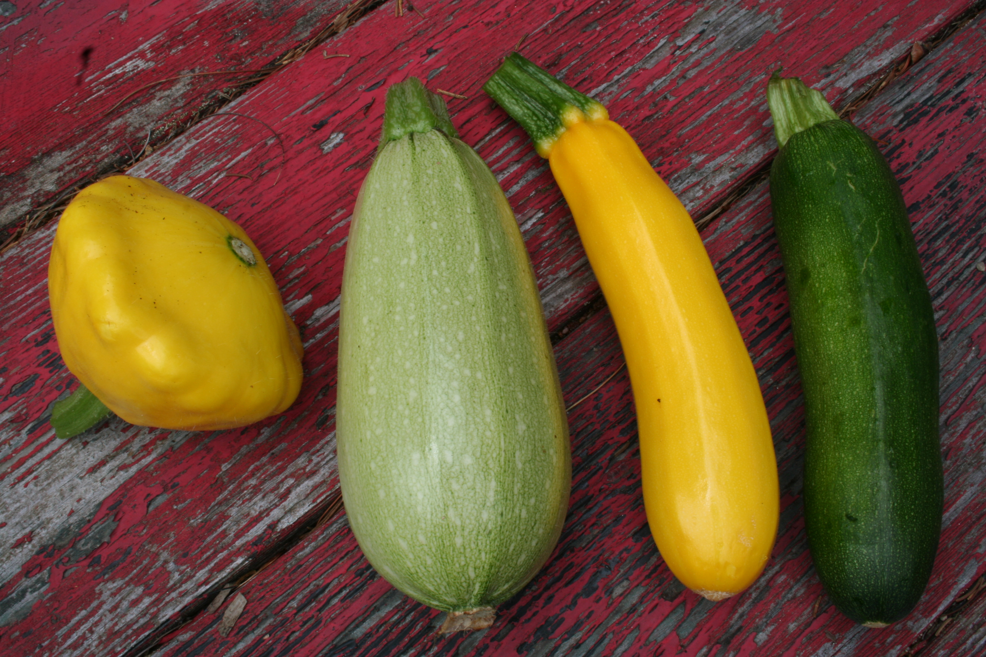 Summer Squash Varieties top 20 the Ve Able Garden In August – Gardening In Tune with