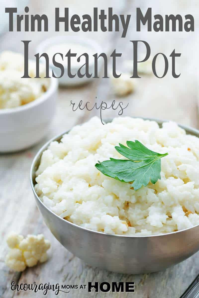 Trim Healthy Mama Instant Pot Recipes 20 Best Ideas Trim Healthy Mama Instant Pot Recipes for Thm