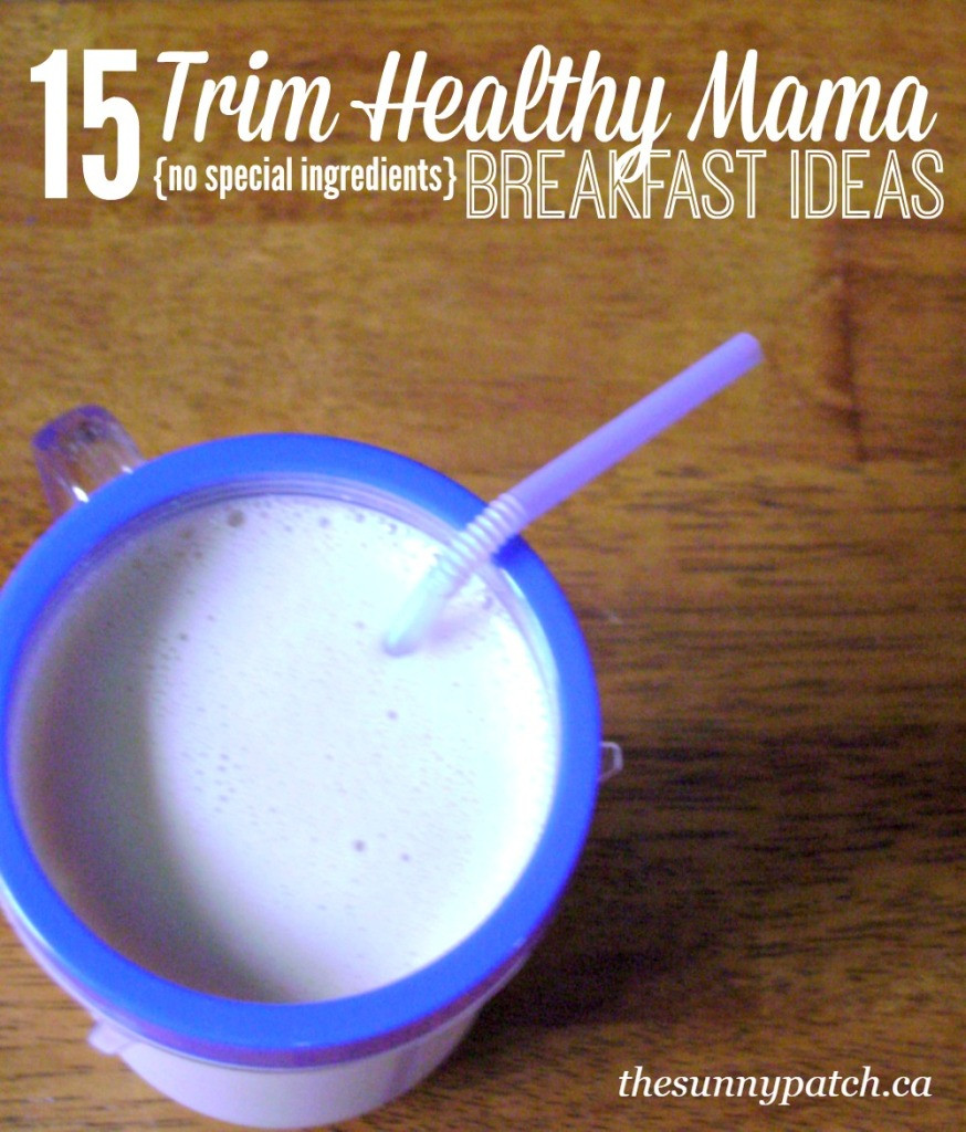 Trim Healthy Mama Recipes Breakfast
 FREE 15 Trim Healthy Mama Breakfast Ideas Printable