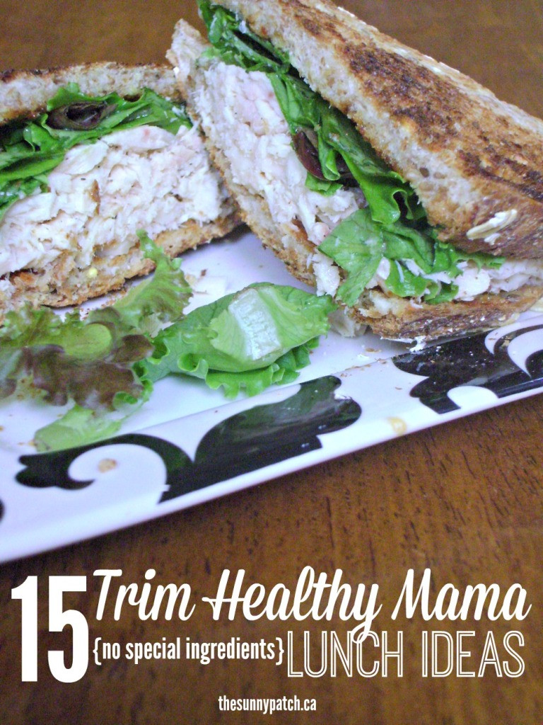 Trim Healthy Mama Snacks
 FREE 15 Trim Healthy Mama Lunches Printable