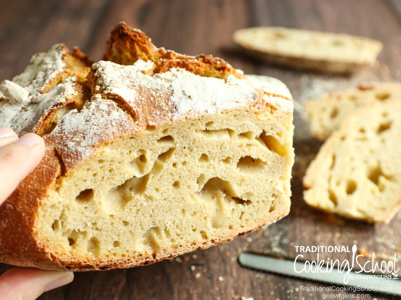 Trim Healthy Mama Sourdough Bread
 Really Discard Half My Starter At Each Feeding