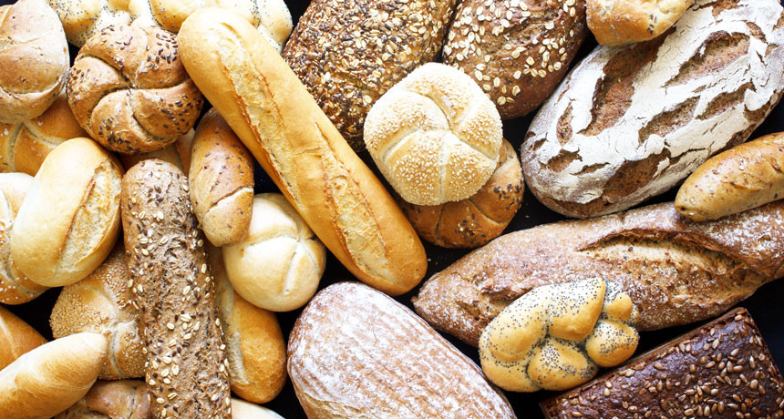 Types Of Healthy Bread
 Choosing white or whole grain bread may depend on what