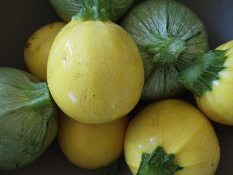 Types Of Summer Squash
 10 Summer Squash Varieties Some You Know Some You Don t
