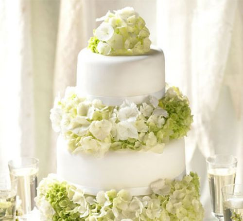 Wedding Cake Recipe
 Simple elegance wedding cake recipe