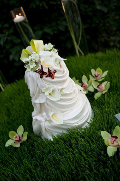 Wedding Cakes Appleton Wi
 Wedding Cake s