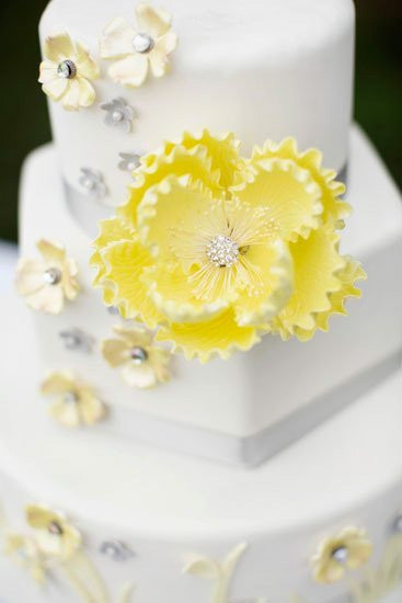 Wedding Cakes Arlington Tx 20 Best Calling All Cakes Arlington Tx Wedding Cake