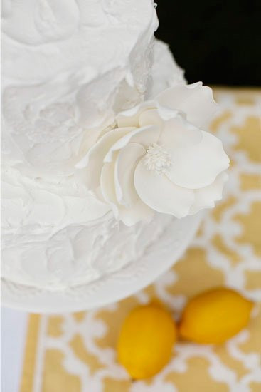 Wedding Cakes Arlington Tx
 Calling All Cakes Arlington TX Wedding Cake