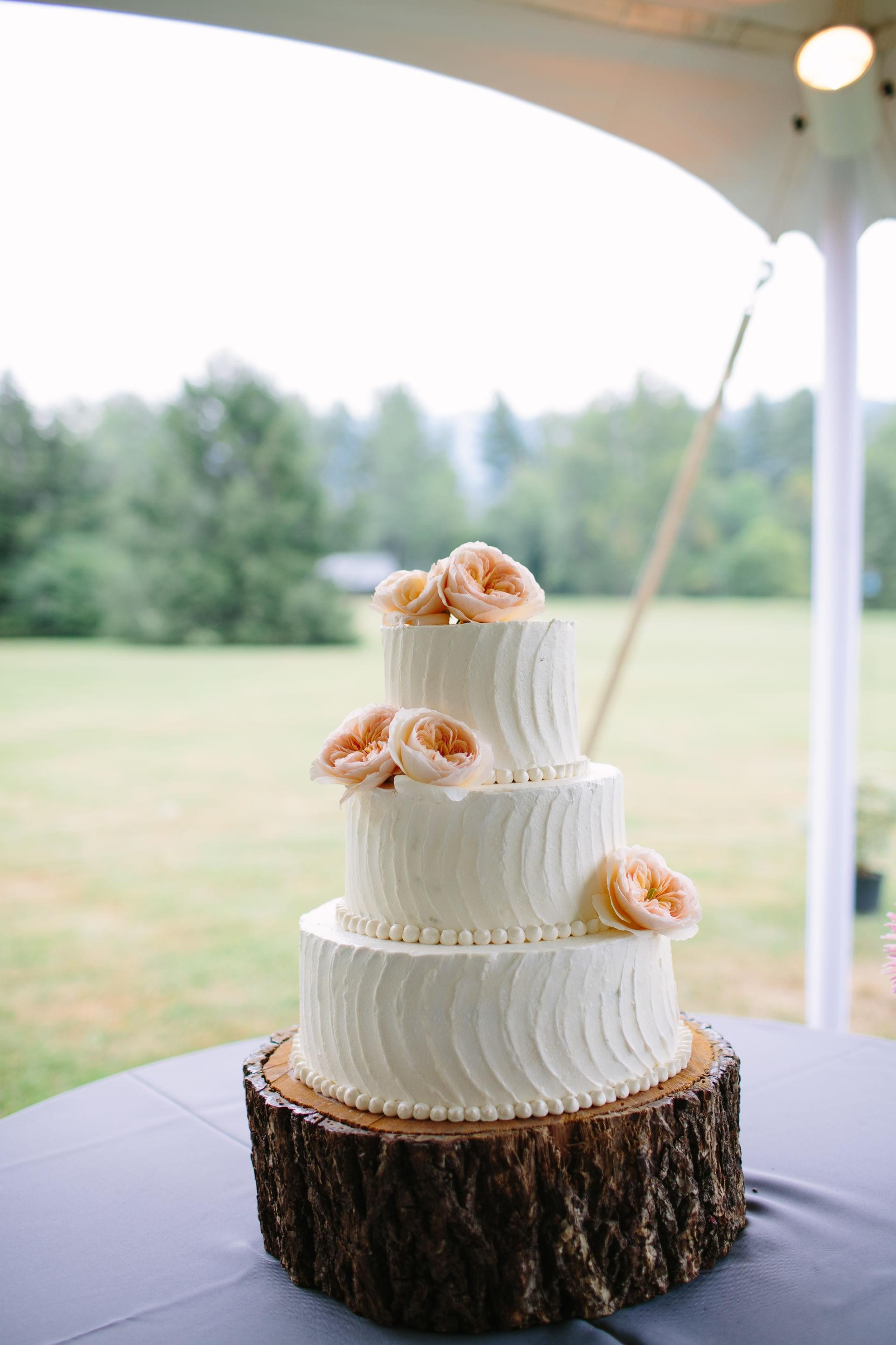 Wedding Cakes Asheville
 Asheville wedding cakes idea in 2017