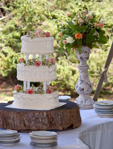 Wedding Cakes Asheville
 Vintage outdoor wedding cake Asheville NC • Just Simply