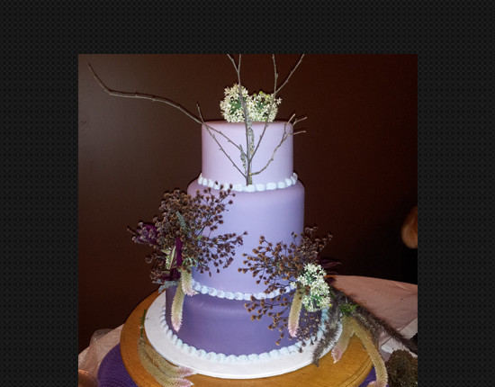 Wedding Cakes Atlanta
 Atlanta and Marietta Wedding Cakes