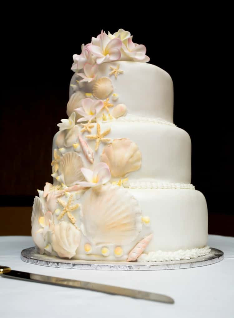 Wedding Cakes Beach
 Beach Wedding Cake Ideas Destination Wedding Details