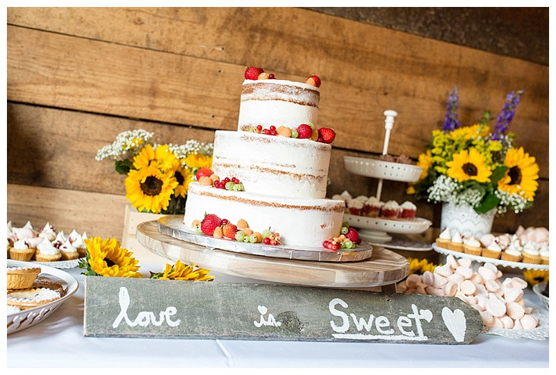 Wedding Cakes Champaign Il
 Willow Creek Farm Wedding Dean & Theresia Ebby L