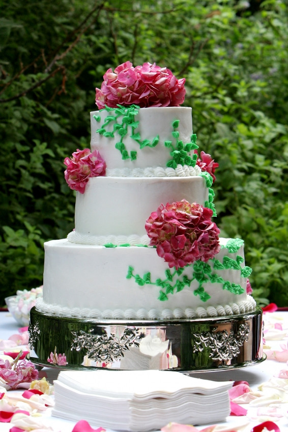 Wedding Cakes Decorations Ideas
 Wedding Cake Decorating Ideas Easy Wedding Cake