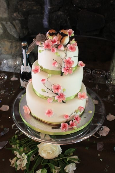 Wedding Cakes Denver Co
 Simply Elegant Cakes Wedding Cake Johnstown CO