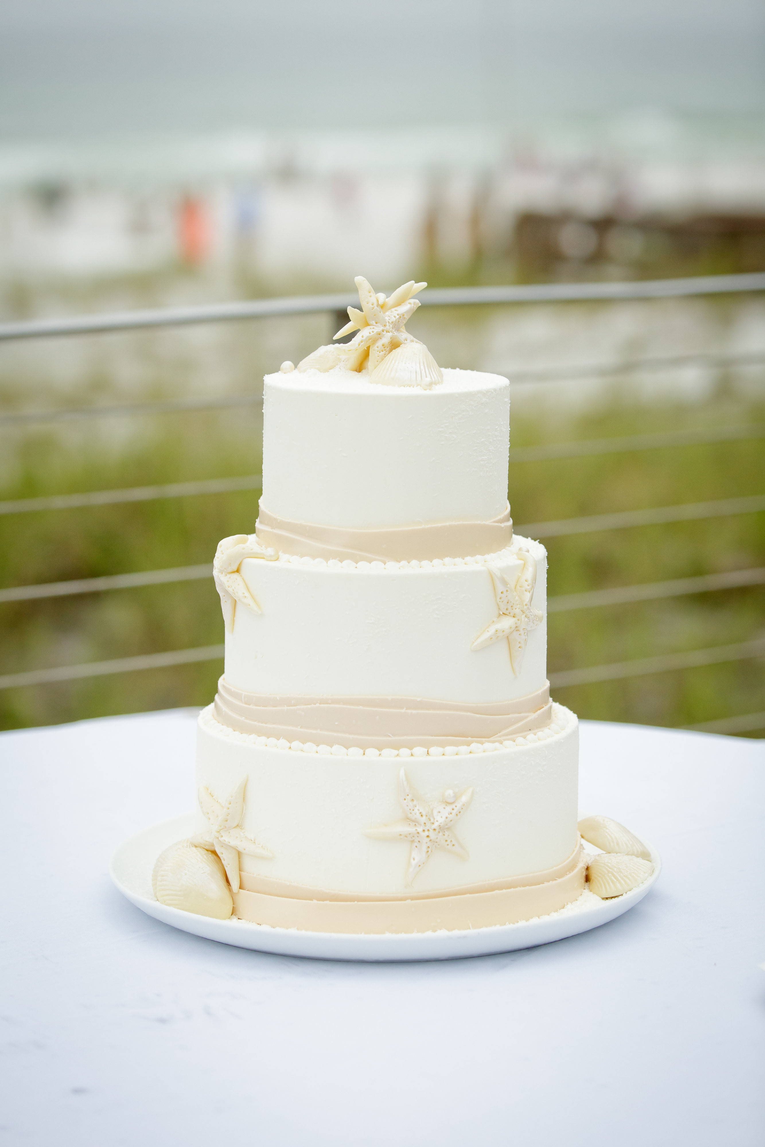 Wedding Cakes Destin Fl
 Beach Wedding Cake