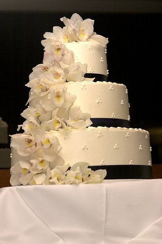 Wedding Cakes Fayetteville Nc
 NBL Cakes Wedding Cake Fayetteville NC WeddingWire