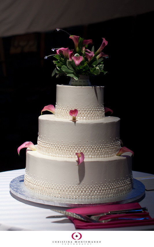 Wedding Cakes History
 Tasty Tuesday 3 Tiny Dots Wedding Cake Pittsburgh