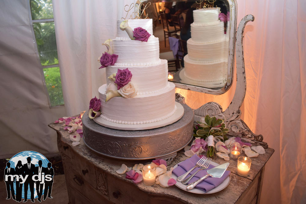 Wedding Cakes In San Diego the Best Twin Oaks Wedding Djs San Diego Djs