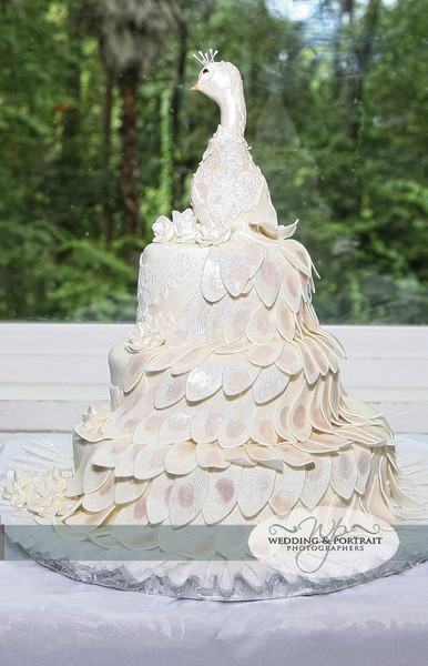 Wedding Cakes Jacksonville Fl
 D&D Cake Designs Jacksonville FL Wedding Cake