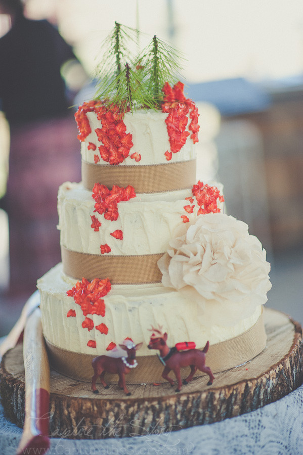 Wedding Cakes Redding Ca
 Ashley Drew Love Story Palo Cedro CA Wedding