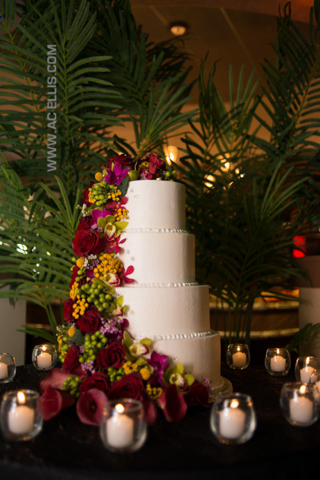 Wedding Cakes Sioux Falls
 Lisa and Casey Sioux Falls Wedding Cake The Cake Lady