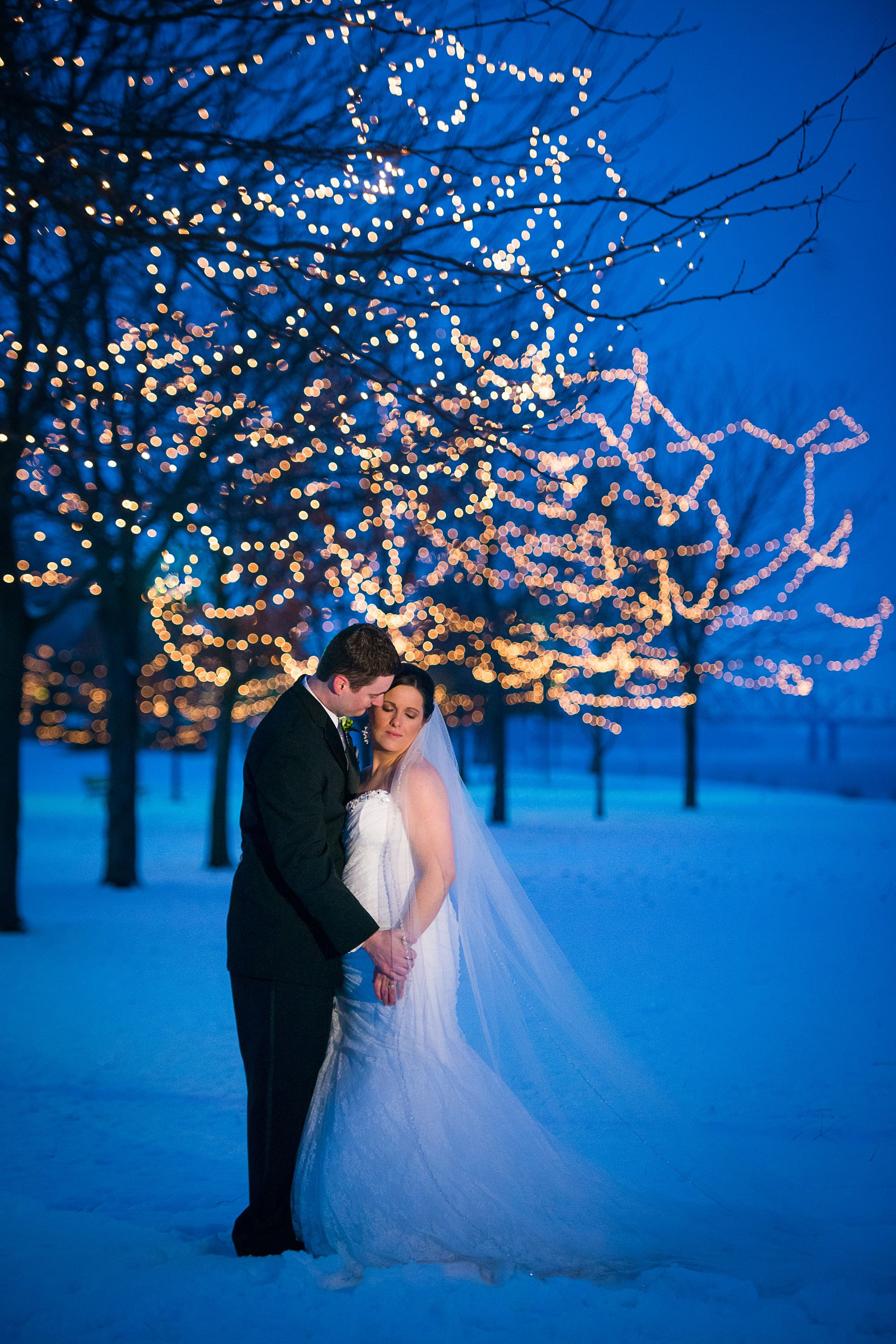 Wedding Cakes St Charles Mo
 A Classic Winter Wedding at the St Charles Convention