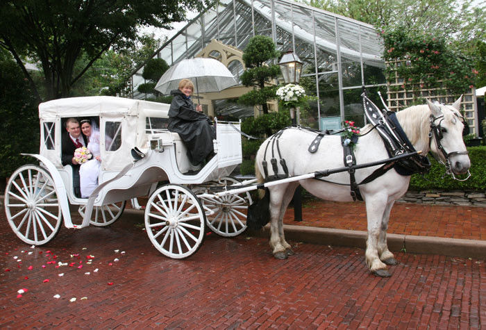 Wedding Cakes St Charles Mo
 The Conservatory Historic District Venue Saint