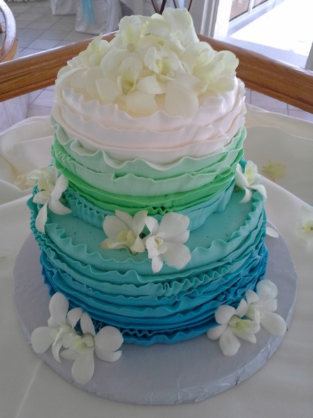 Wedding Cakes St Petersburg Fl
 A Special Touch Cakes By Carolynn Saint Petersburg FL