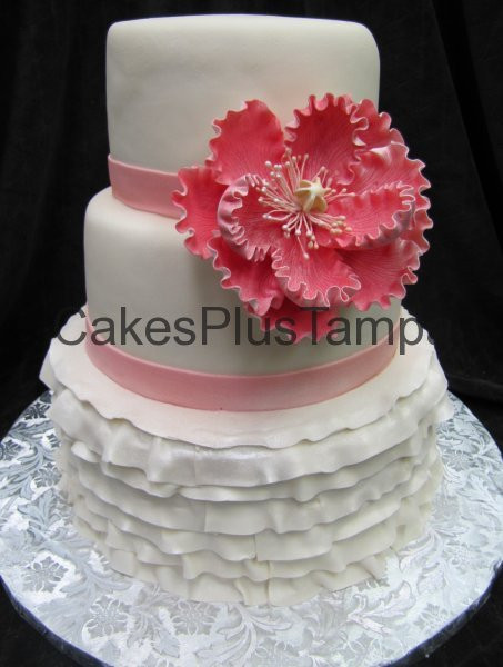 Wedding Cakes Tampa
 Cakes Plus Tampa Wedding Cakes