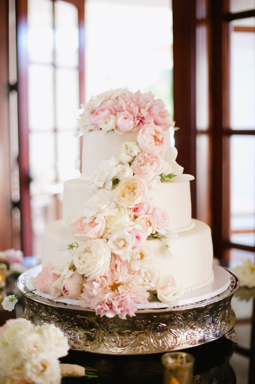 Wedding Cakes Tumblr Best 20 Wedding Cake Recipe